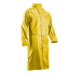 Jaune L - 48/50 image