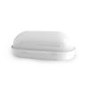 Plafonnier LED en saillie ovales OVALIE II ECO image 0