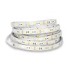 Rubans strips 12,4W/m - 5 Mètres 60 LED image 11
