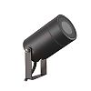 Projecteur piquet noir pour jardin LYS image 1