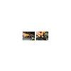 Pince etau pour piece ronde image 1