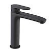 Mitigeur Lavabo bec haut image 1