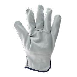 Taille 11 image