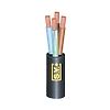 Câble électrique rigide U-1000 RO2V 2G1.5² - Couronne de 50m image 0