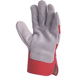 Taille 11 image