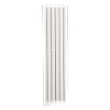 Radiateur électrique Acier à fluide caloporteur - Blanc image 0