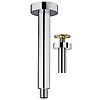 Bras de douche plafonnier Chrome image 0
