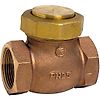 Clapet de non retour à levée verticale bronze-inox Femelle BSP - Série 350 image 0