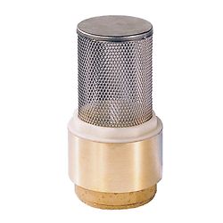 Clapet anti-retour avec crépine inox - Femelle/Femelle - Série 310 image