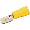Assortiment de cosses x160 image 27