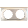 Plaque de finition - 2 Postes - COMETE image 1