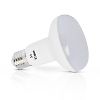 Ampoules Led spécifiques E27 - R63 - R80 image 2