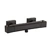 Mitigeur thermostatique bain/douche pvd noir mat PLAZA image 0