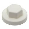 Capuchon plastique (Vis Diam.6,3) - Polyéthylène image 8