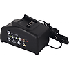 CHARGEUR RAPIDE Li-Ion 230V 70W POUR SERTISSEUSE PINMR image 0