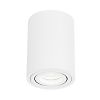 Plafonnier spot en saillie ACACIA IP20 Ø85 x 115mm image 0