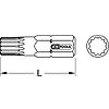 Embouts pour tournevis à frapper XZN® image 5