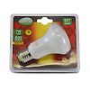 Ampoules Led spécifiques E27 - R63 - R80 image 3