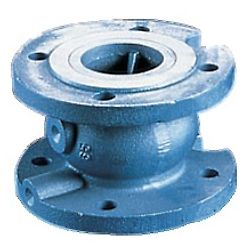 DN80 image