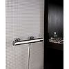 Mitigeur thermostatique douche inox Clapets antipollution image 1