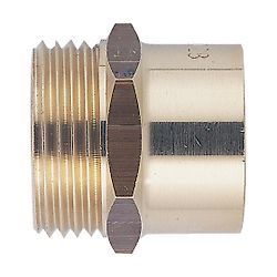 40x49 - 40 image