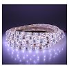 Rubans strips 4,8W/m - 5 mètres 60 LED ECO image 0