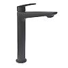 Mitigeur lavabo réhaussé Ruby Black image 0