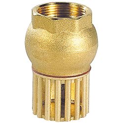 Clapet crépine vertical tout laiton Femelle BSP - Série 304 image
