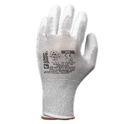 Taille 6 image