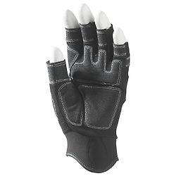 Taille 8 image