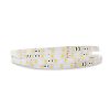 Rubans strips 12,4W/m - 5 Mètres 60 LED image 3