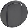 Enjoliveur Céliane interrupteur - Graphite-simple commande image 0