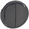 Enjoliveur Céliane interrupteur - Graphite-double commande image 0