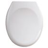 Abattant WC double - résine thermodur à charnière Inox - blanc image 0