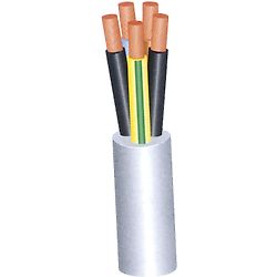 Câble électrique souple H05VV-F 2G0.75² - Couronne de 50m image
