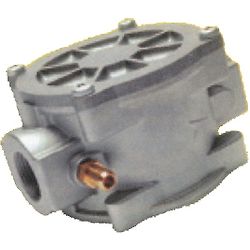 40X49 image