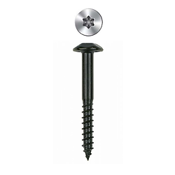 Boite de 100 - Vis inviolable - Empreinte torx - Zinguée Noire image