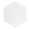 Vis tête hexagonale - Filetage Total - Nylon 6.6 image 77