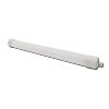 Tubulaires LED étanches IP67 IK10 TUBA image 1