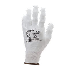 Taille 6 image
