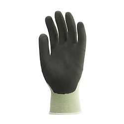 Taille 8 image