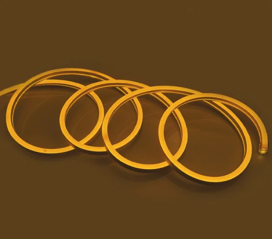 Néon Flex 50 mètres image