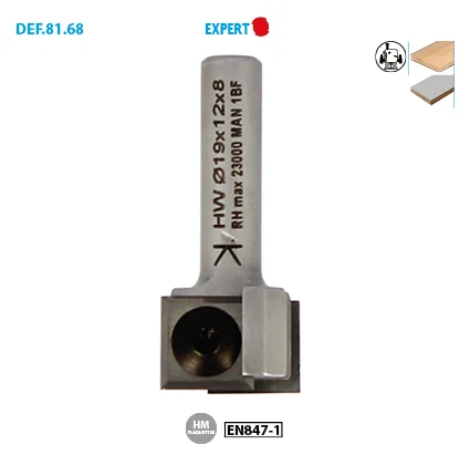 Mèche d'affleureuse à plaquettes réversibles Expert image