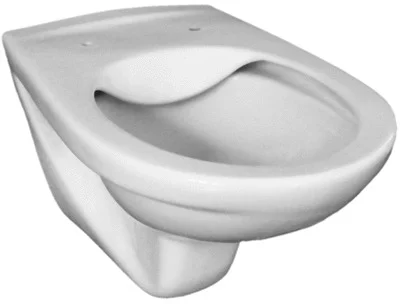 Cuvette suspendue ANCOFLASH sans bride image