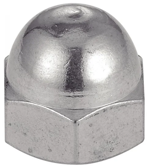 Ecrou borgne decolletés - Inox A1 image