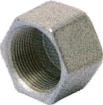 Bouchon fonte noire Femelle tête hexagonale image