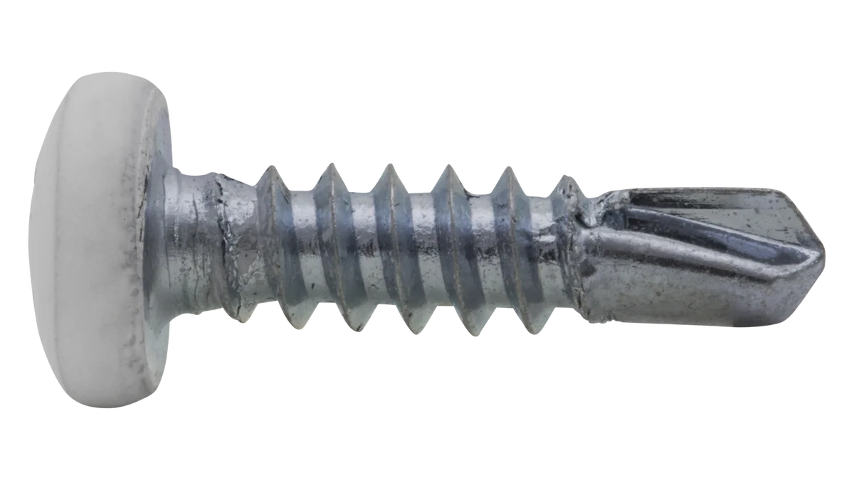 Vis autoperceuse - Tête cylindrique bombée - Blanc RAL9016 image