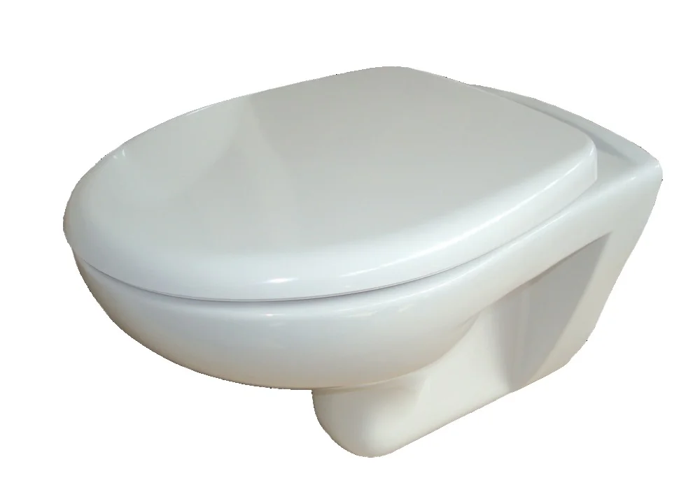 Cuvette WC suspendue Ancoswing - nue image