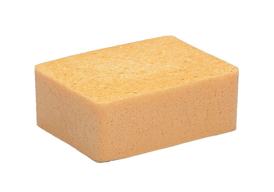 Eponge végétale image