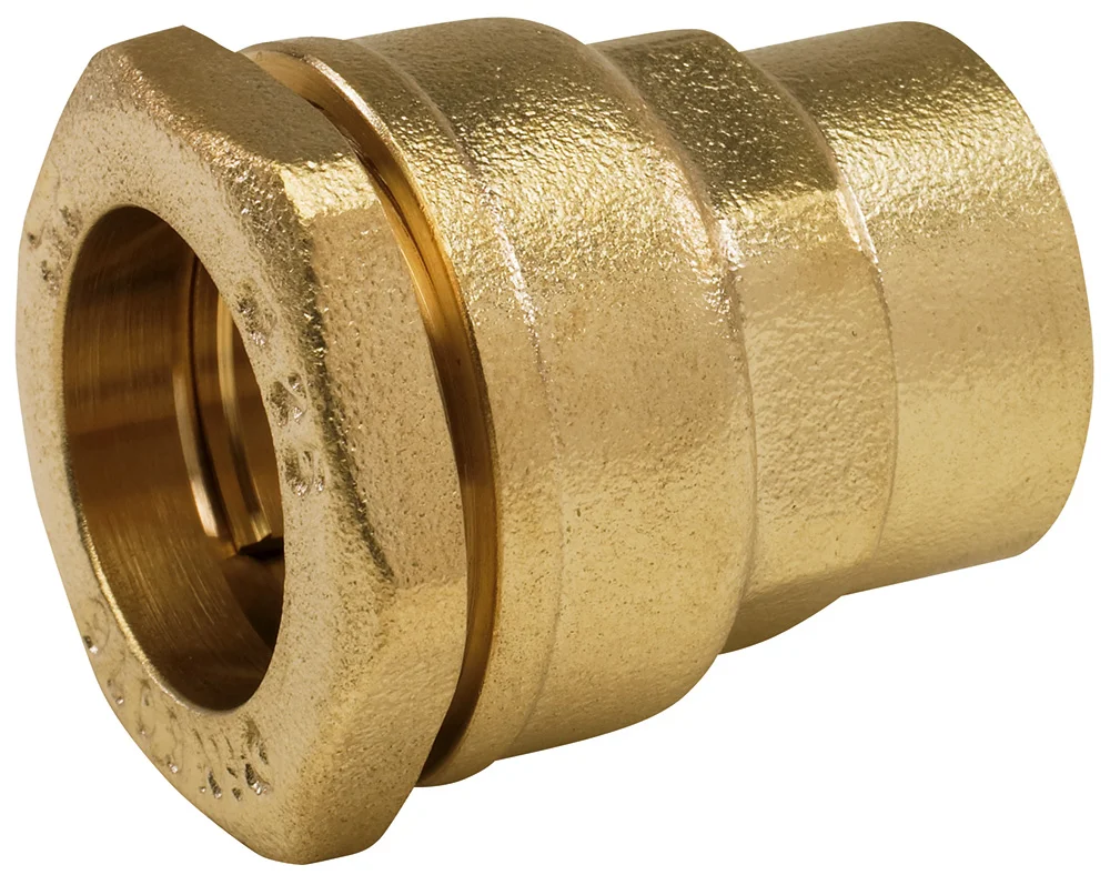 Manchon Femelle image